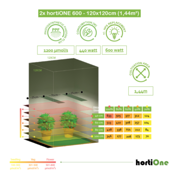 120x120cm-2x-hortiONE600
