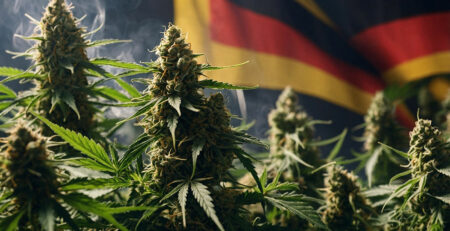 Cannabis-Legalisierung-Deutschland