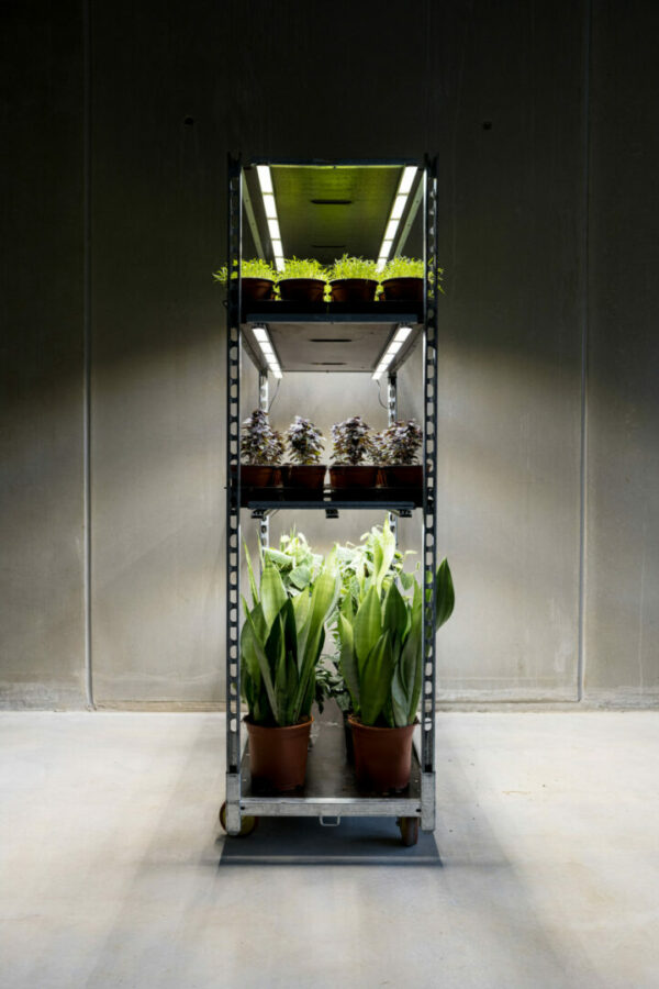 SANlight FLEX Bundle 60W mit LED-Treiber 4 FLEX II CC Wagon Seitenansicht