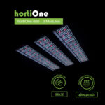 3x hortiONE 600