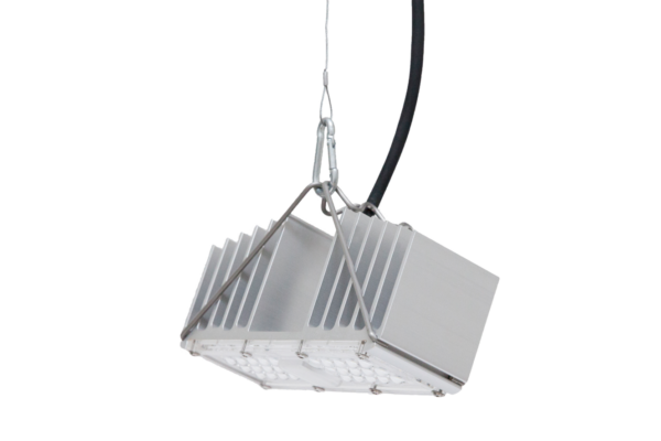 q1w hanging tilted side isolated