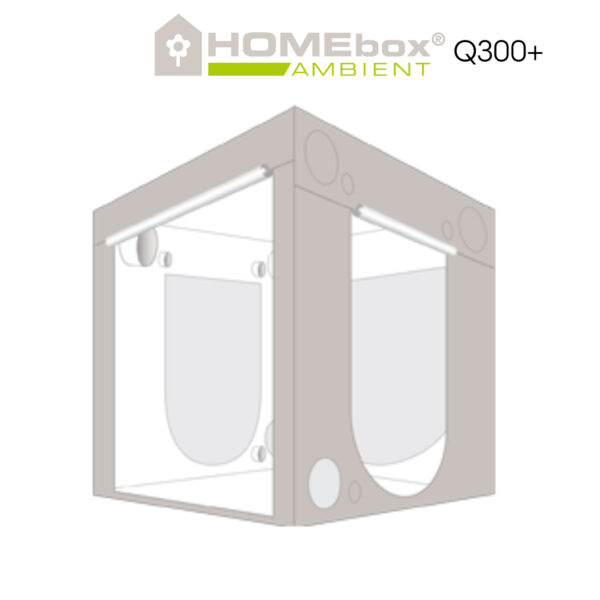 HOMEbox Ambient Q300+-Jumbo-Growtent-BIG-box