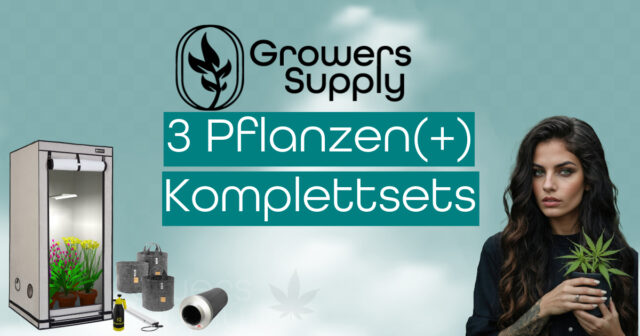 Growbox-Komplettset-GowersSupply-3Plants