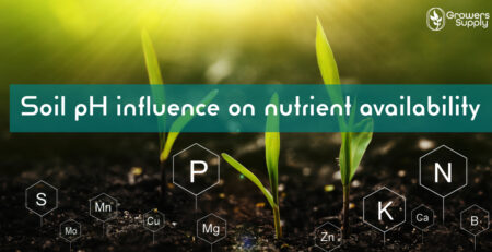 Soil pH -Wert nfluence on nutrient availability