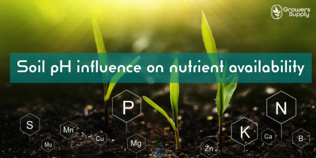 Soil pH -Wert nfluence on nutrient availability