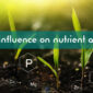 Soil pH -Wert nfluence on nutrient availability