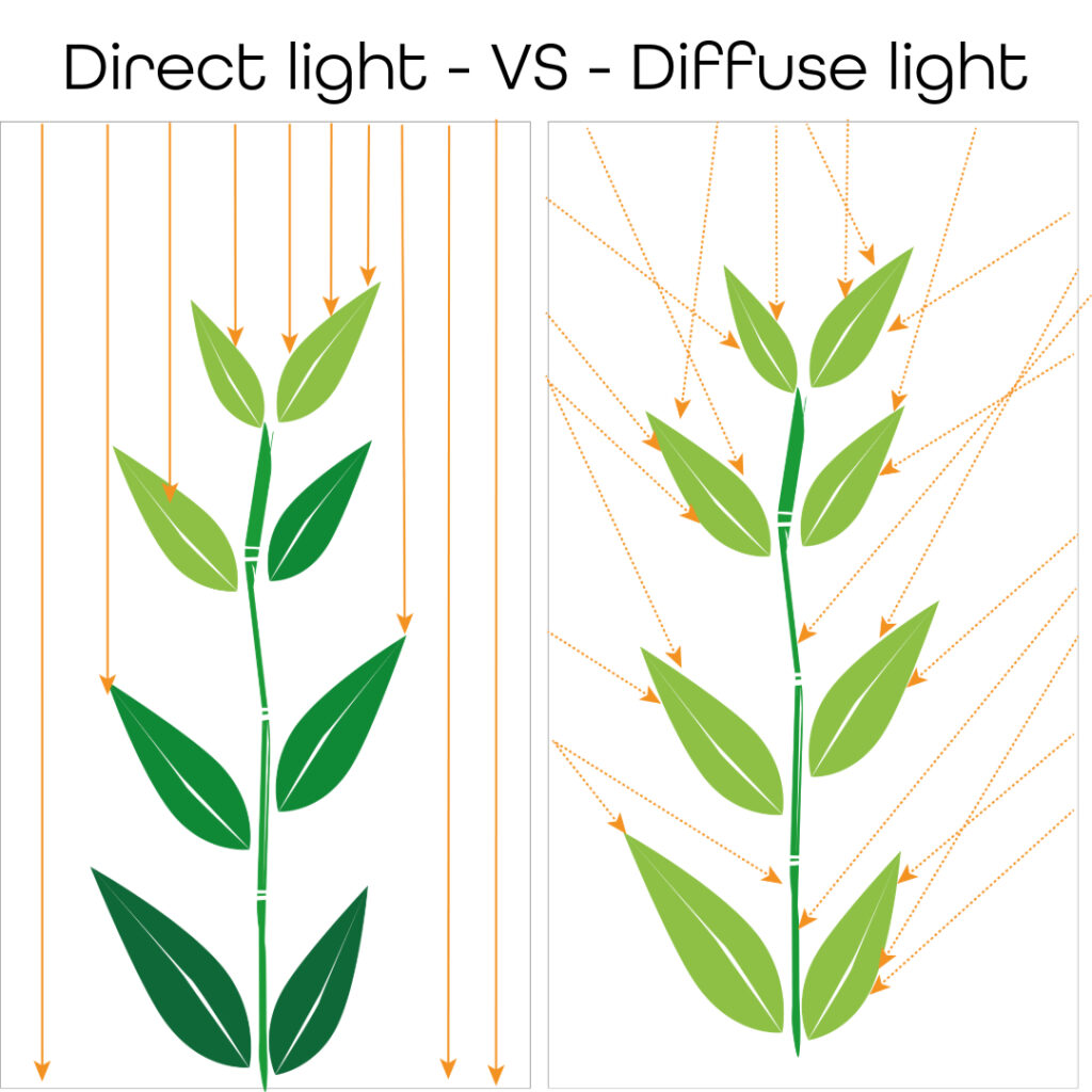 hortiONE-Direct-vs-diffuse-light