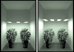 hortiONE-Modules-upgrade