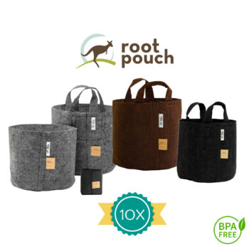 Root Pouch Bundle