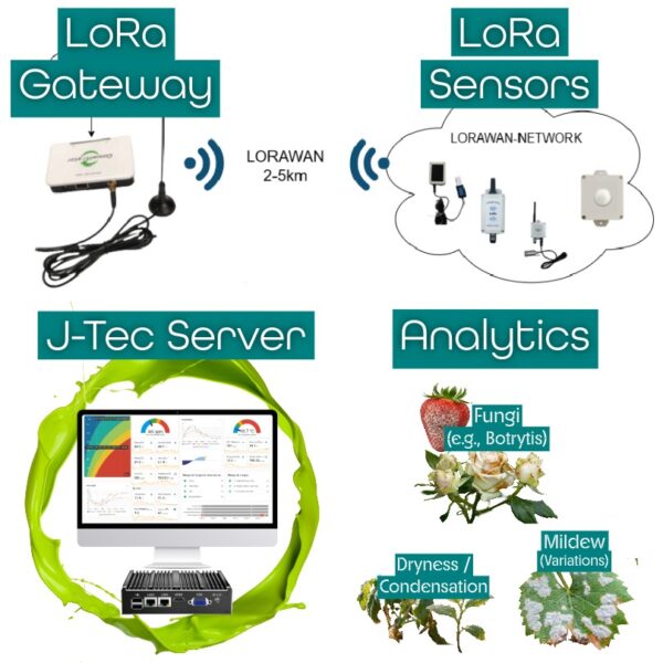 j tec GmbH 24 J Tec Server Monitoring