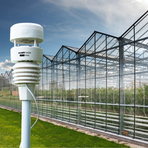ecowitt ws90 weather station 7 in 1 by Shelly 4 Ecowitt WS90 7in1 Weather Station Outside
